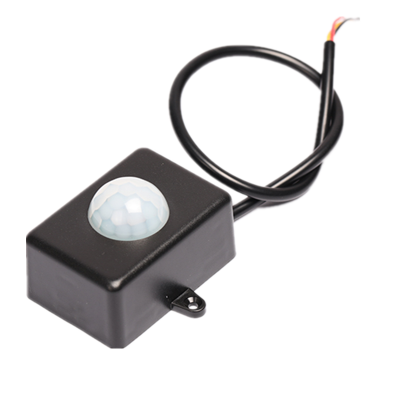 伟德体育 - 综合体育赛事平台|奥体中心相助同伴